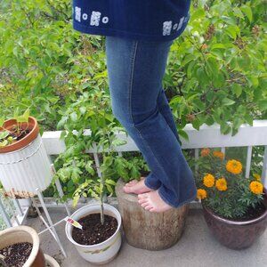 Free Soul Italia Women's Jeans Made In Italy